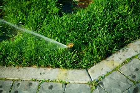 4 Common Sprinkler Head Problems | DoItYourself.com