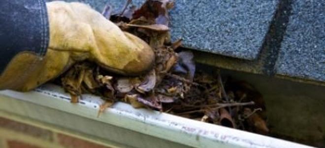 A pair of gloved hands pulls out leaves from a gutter.
