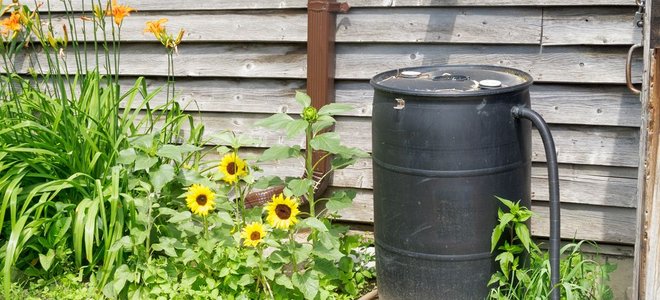 Rain barrel with pump