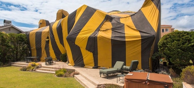 A house covered in a fumigation tent. 