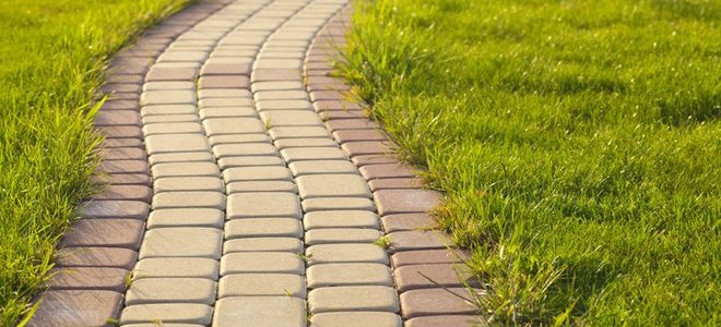 Lead Image for Installing Rubber Paver Blocks