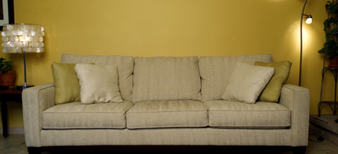 Remove A Musty Odor From Home Furniture, Sofa Smells Musty