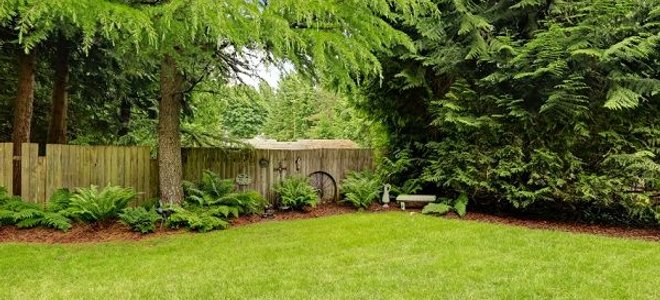 7 Ways to Add Shade to Your Backyard | DoItYourself.com