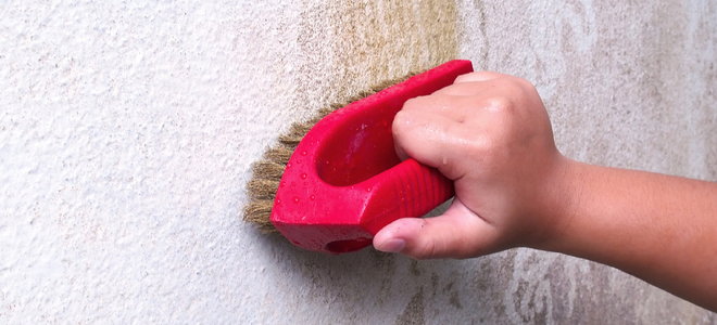 scrubbing mildew off a wall