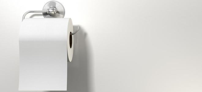 A roll of toilet paper on a silver holder. 