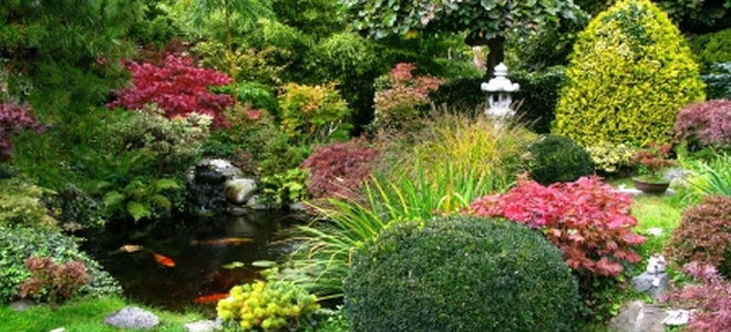 Classic Japanese Tea Gardens | DoItYourself.com