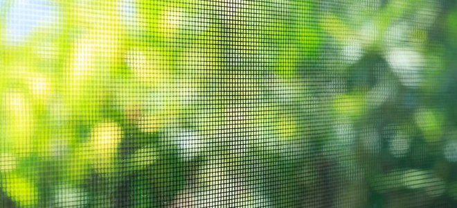 door screen facing greenery