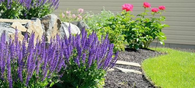 how-to-remove-black-spots-on-vinyl-siding-doityourself