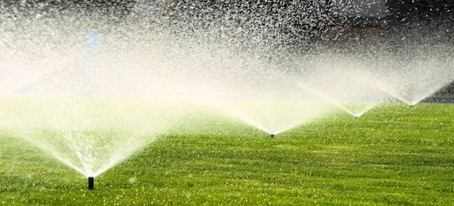 Sprinklers watering a lawn. 