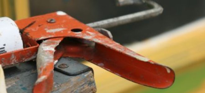 Lead Image