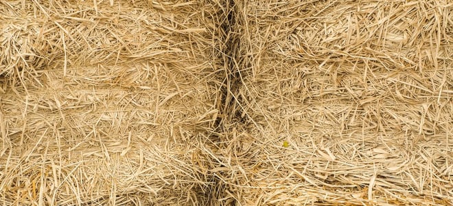 A close-up image of straw bales. 