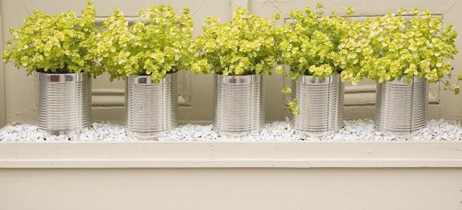 A series of repurposed tin cans as vases with flowers in them.
