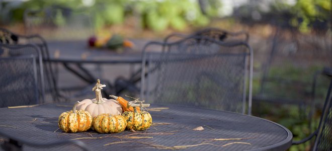 A metal patio table with pumpkins on it.