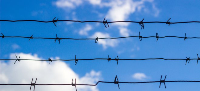 A barbed wire fence.