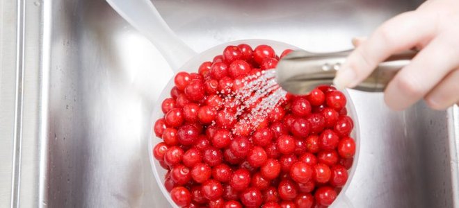 spraying a strainer full of food in the sink