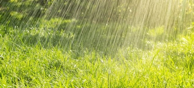 lawn in the sun getting heavily watered