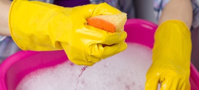 gloved hands holding a sponge above a bucket of soapy water