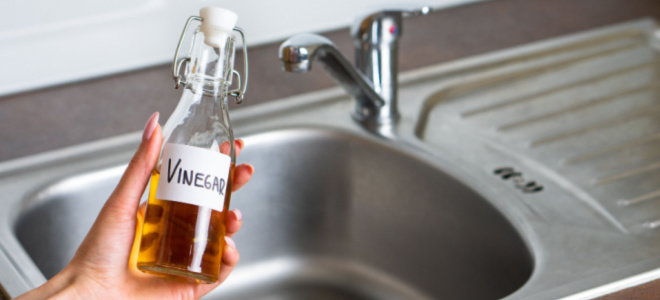 vinegar to clean sink drain