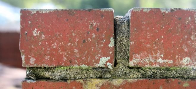 How to Clean Mold Off Brick