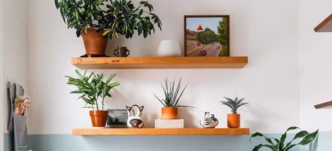floating wall shelves with plants