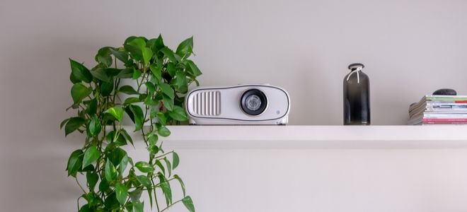 projector on a shelf with a plant and white wall