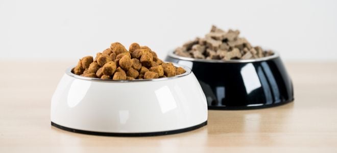 two small pet food dishes with kibble
