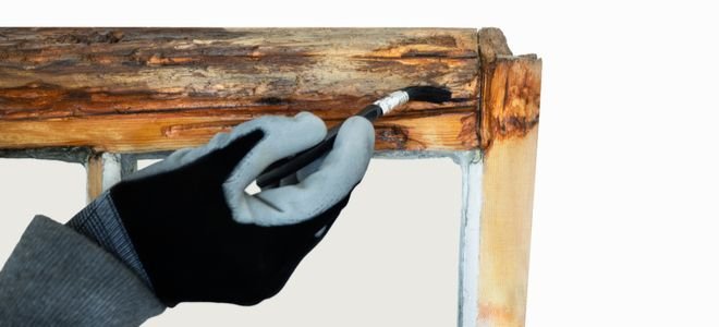 gloved hand applying sealant to dry rotting wood