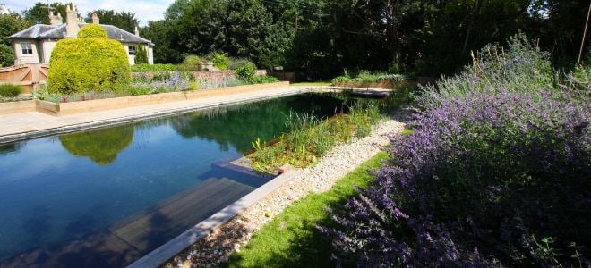 natural pool next to stone house with plants on the water edge