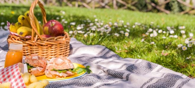 picnic blanket with food on green grass with flowers