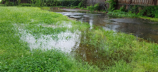 Flooded lawn