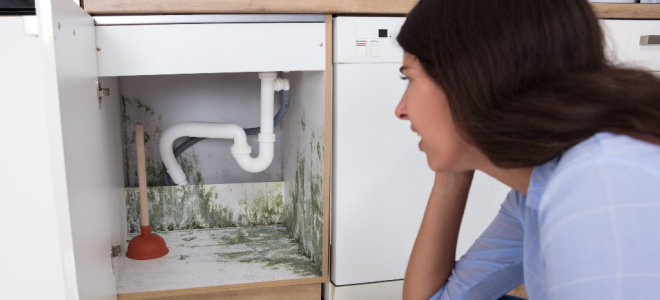 woman looking at mold under sink