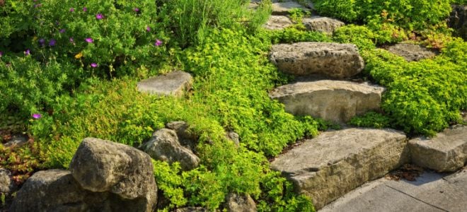 stone steps in landscaped yard
