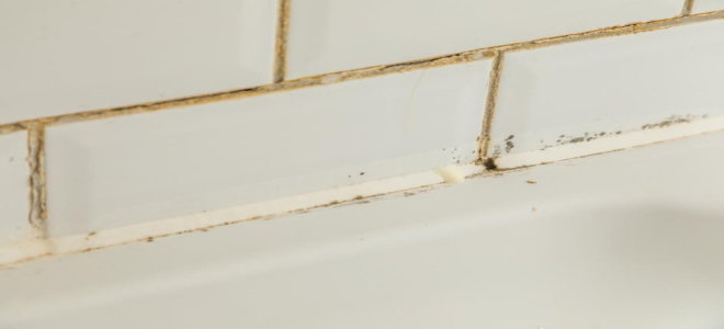 yellowing grout on white tiles