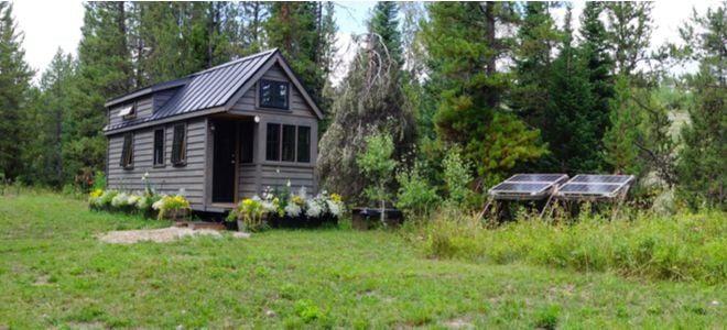 small off grid tiny home surrounded by trees