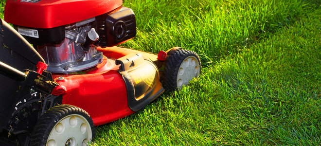lawnmower pushed through tall grass