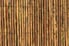 bamboo fencing