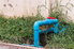A blue sump pump in a grassy area against a white fence.