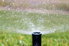 A sprinkler head watering the lawn.