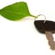 A car key with a green leaf attached. 