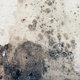 concrete wall with black mold