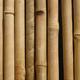 row of dried bamboo rods