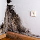 Corner of a room filled with black mold