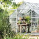 glass greenhouse in a yard with many green plants