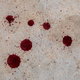 Drops of blood on a floor