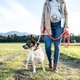 a person walking with a dog on a harness.
