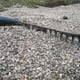 raking a gravel driveway
