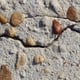 Drilling, Nailing, Screwing: Can They Cause Cracks in Concrete?