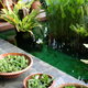 indoor water garden