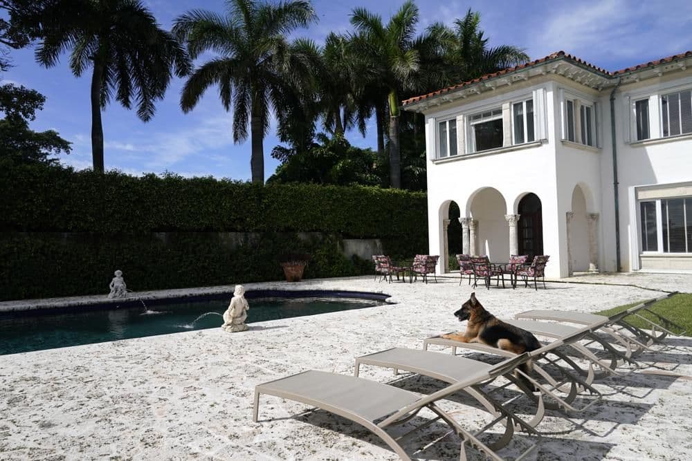 Ultra-rich German shepherd Gunther VI lounges by the pool of his lavish Miami Beach house (formerly Madonna's).