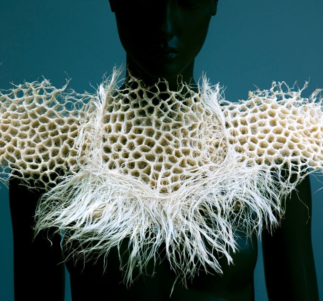 Gorgeous sustainable collar by Zena Holloway is made from living plant roots.
